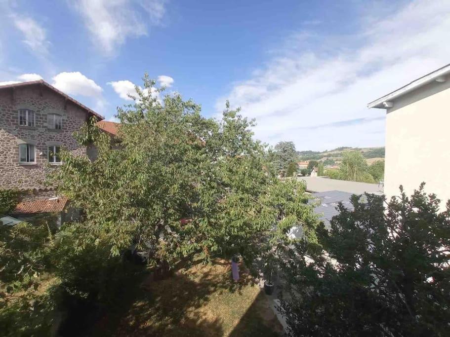 Appart Proche Centre- Gare-Stade-Hopital- Prisme-Belle Vue Aurillac Esterno foto